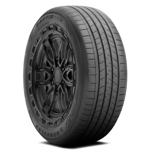 Hercules Raptis R-T6X